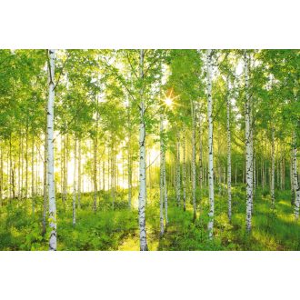 Vasárnap, fotótapéta