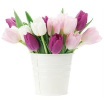 Sztatikus ablakmatrica - Virágok